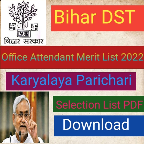 Bihar DST Office Attendant