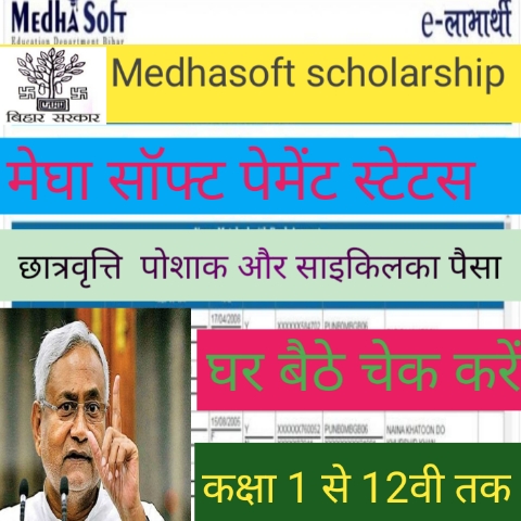 Medhasoft scholarship payment status